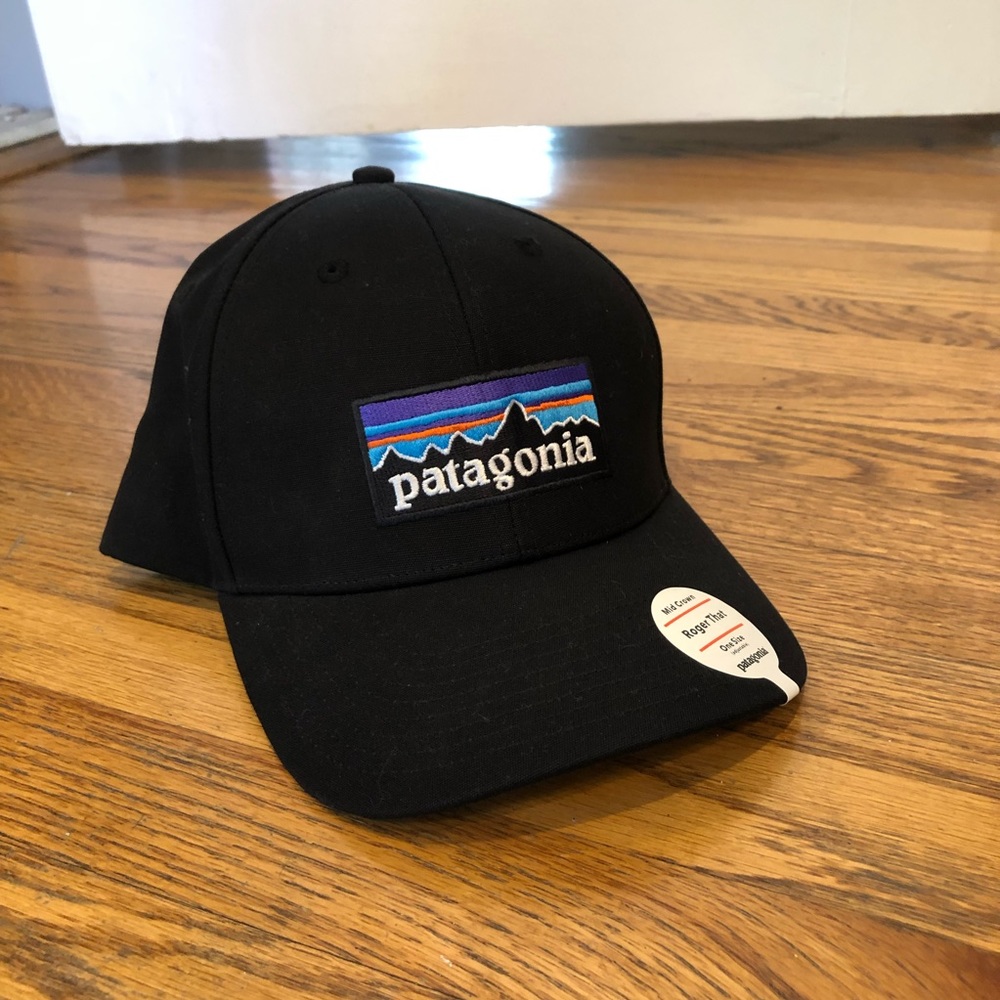 Patagonia SnapBack Cap